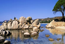桑拿南京，夏日养生避暑胜地(南京的桑拿)